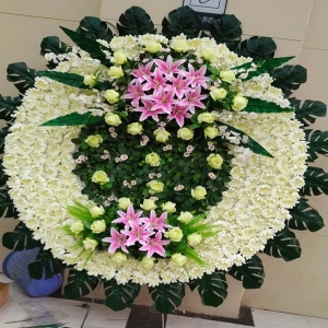 ˼糱Ȧ