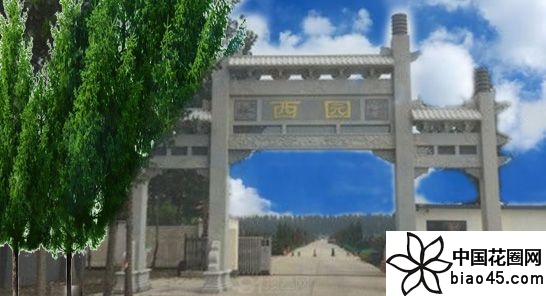 @Ĺ