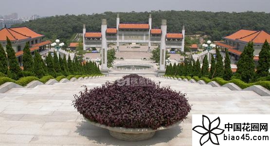 V|혵wZĹ@